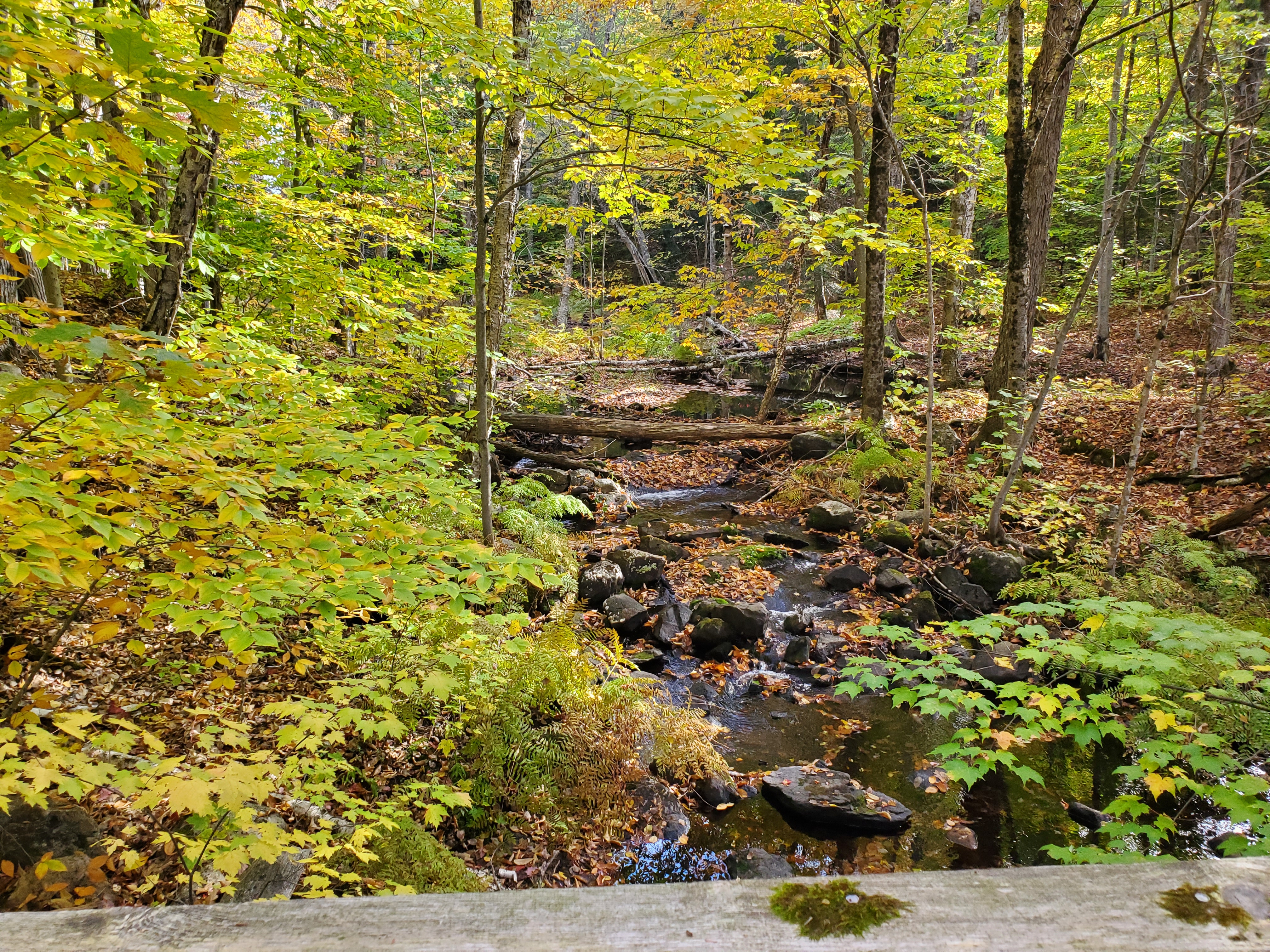 cottage trail