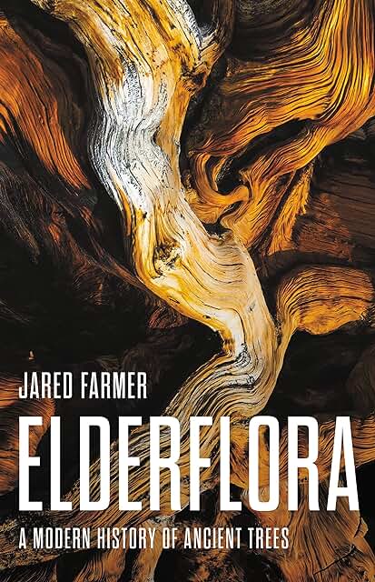 Farmer: Elderflora