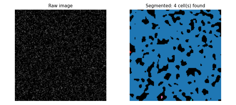 Pure-noise image with 4 false cell detections shown in colour.